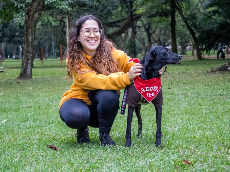 A volunteer sitting outdoors with a rescued dog